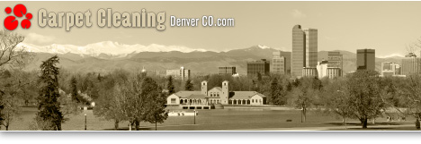 Denver cleaning services Colorado