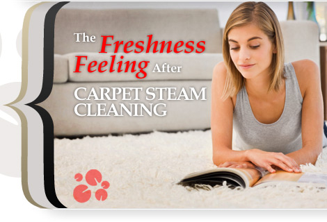 carpet steam cleaning ,CO